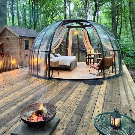 Le Dome De Namur - Une Nuit Insolite Dans Les Bois Exteriör bild