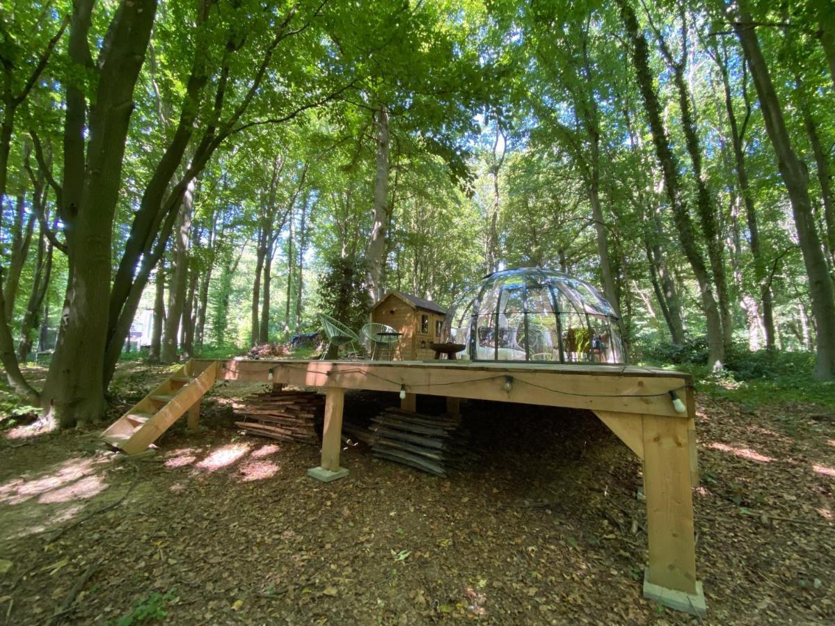 Le Dome De Namur - Une Nuit Insolite Dans Les Bois Exteriör bild