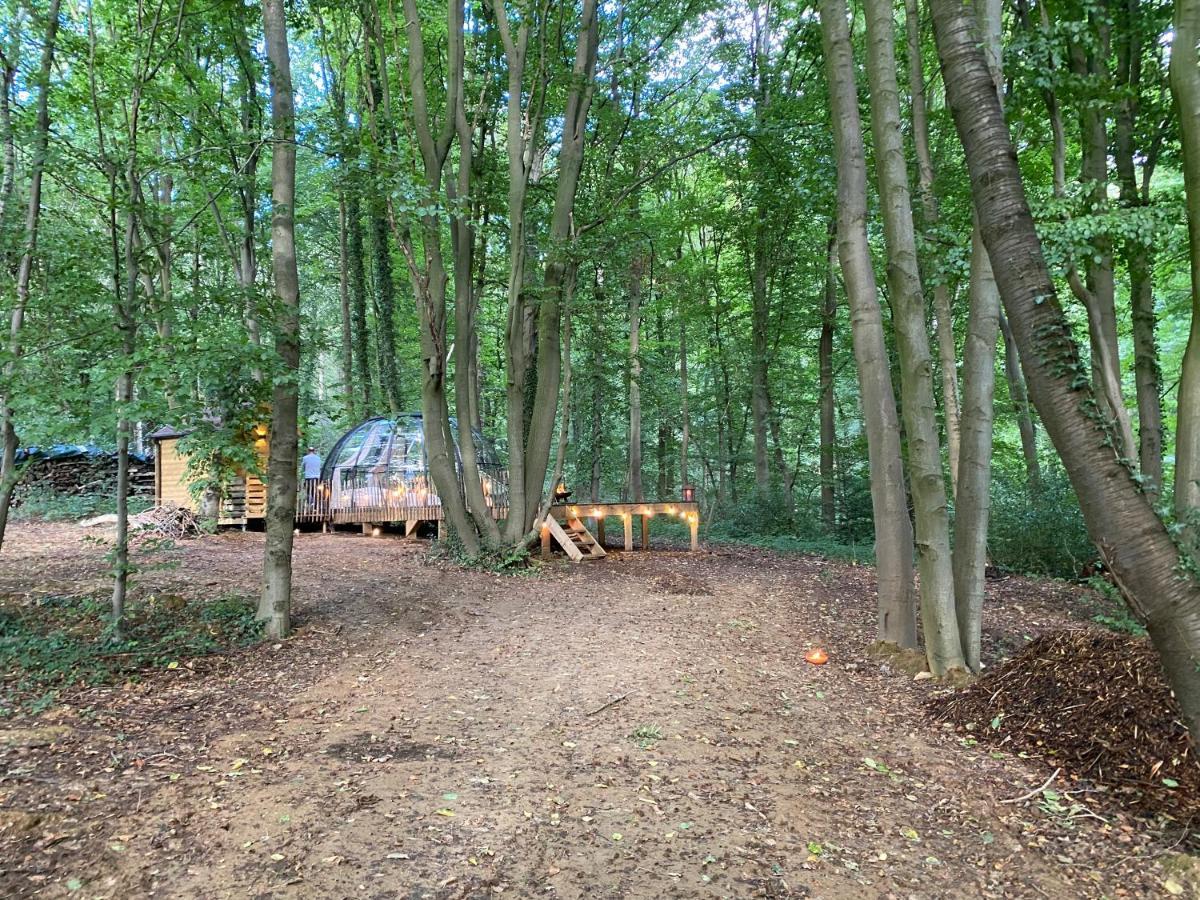 Le Dome De Namur - Une Nuit Insolite Dans Les Bois Exteriör bild