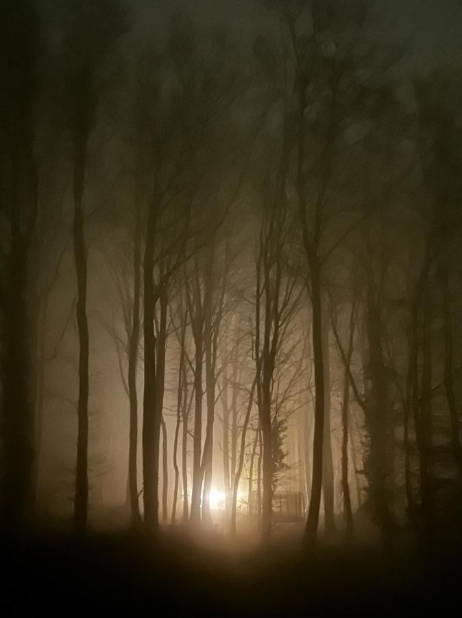 Le Dome De Namur - Une Nuit Insolite Dans Les Bois Exteriör bild
