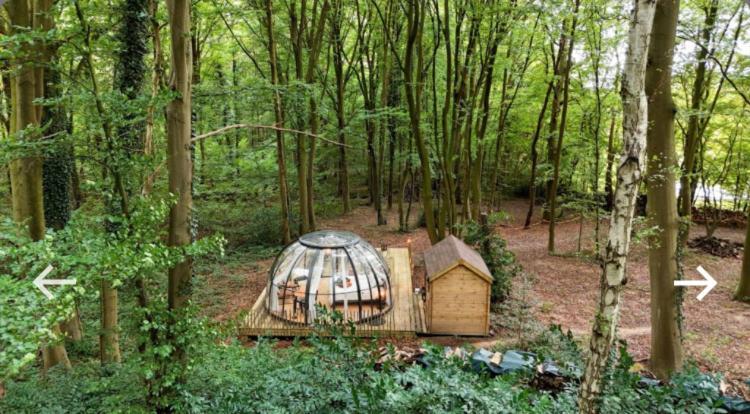 Le Dome De Namur - Une Nuit Insolite Dans Les Bois Exteriör bild