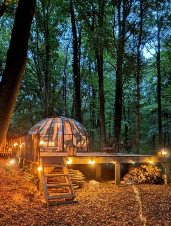 Le Dome De Namur - Une Nuit Insolite Dans Les Bois Exteriör bild